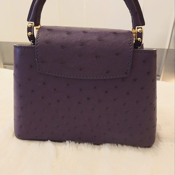 Louis Vuitton Ostrich Capucines Mini Purse - Picture 6 of 7